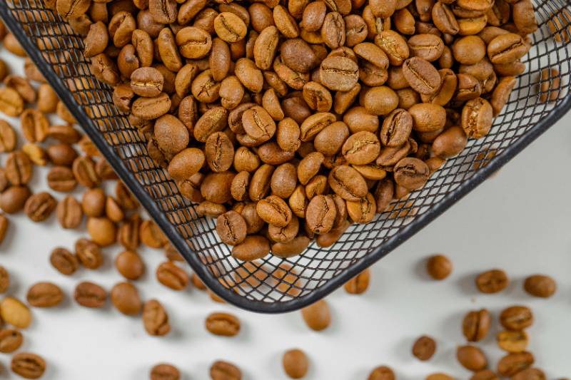 Ciri-Ciri Oven Pengering Biji Kopi