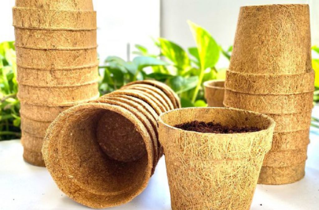 Inovasi Produk Ramah Lingkungan dari Sabut Kelapa