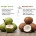 ciri kelapa muda dan tua