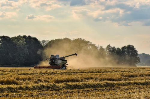 teknologi mesin panen padi