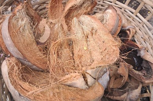 Teknologi Pengolahan Sabut Kelapa