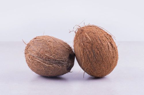 Cara Kerja Mesin Cocofiber dan Cocopeat