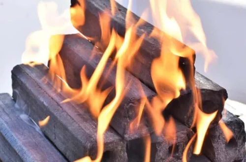 Cara Meningkatkan Kualitas Briket Agar Lebih Padat