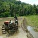 Hasil Bajak Sawah Pakai Hand Tractor Lebih Rata Dan Produktif