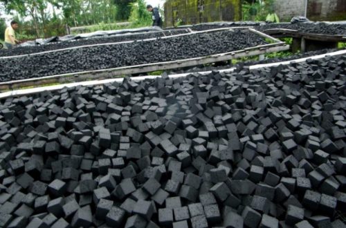 Tips Memulai Usaha Briket Arang Agar Cepat Berkembang