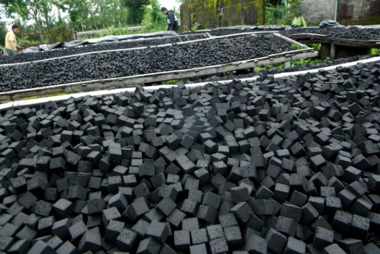 Tips Memulai Usaha Briket Arang Agar Cepat Berkembang