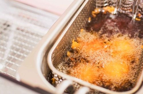 batch fryer dalam usaha