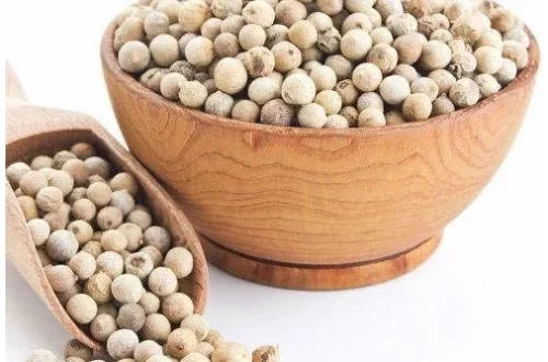 cara mempercepat olah lada basah