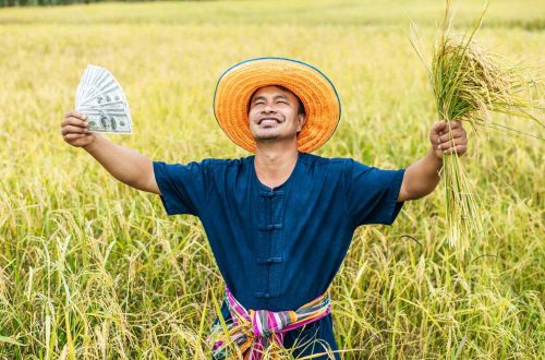 Alat dan mesin pasca panen padi