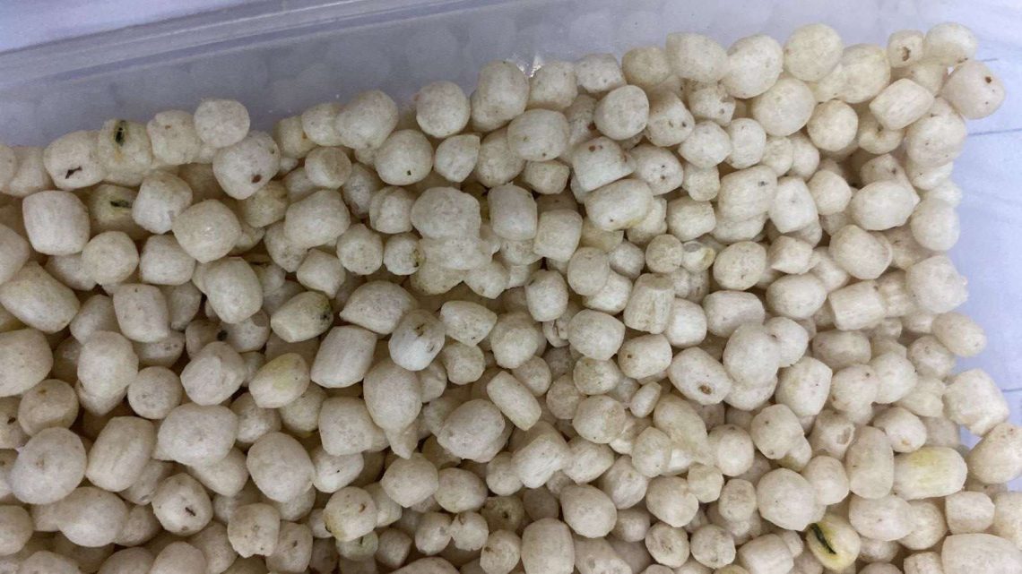 Alat Pembuat Camilan Pilus Modern