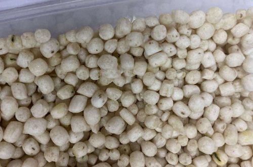 Alat Pembuat Camilan Pilus Modern