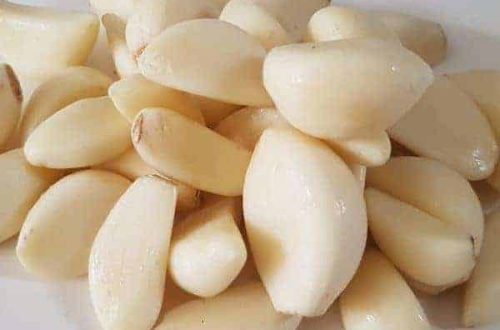 alat pengupas bawang putih otomatis
