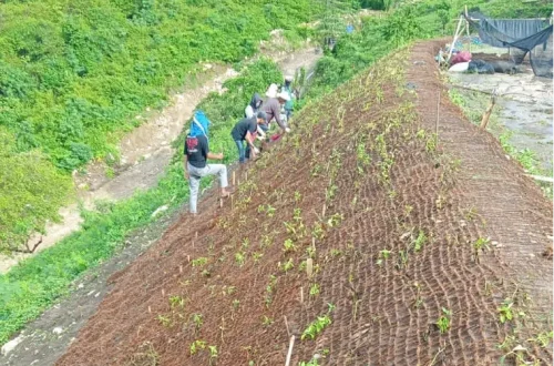 cocomesh-untuk-rehabilitasi-lahan-rusak