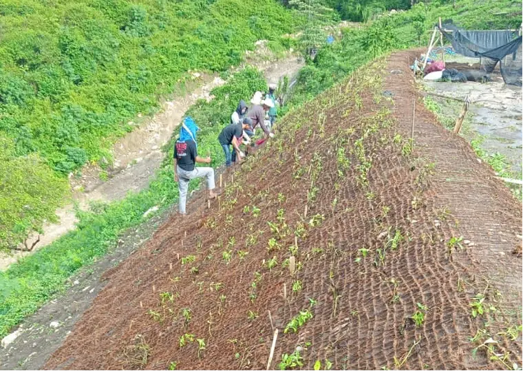 cocomesh-untuk-rehabilitasi-lahan-rusak
