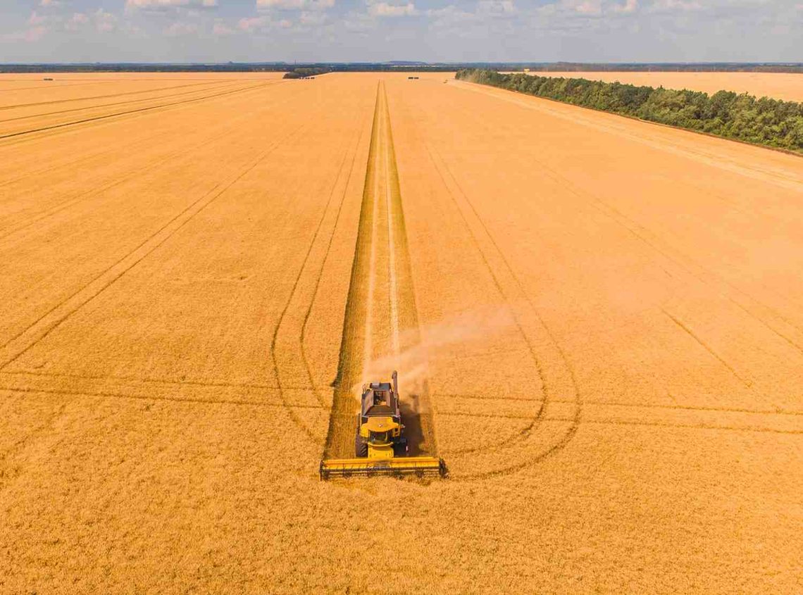 Mesin Panen Padi Combine Harvester