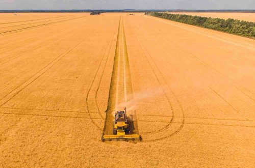 Mesin Panen Padi Combine Harvester