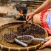 cara membuat kopi berkualitas