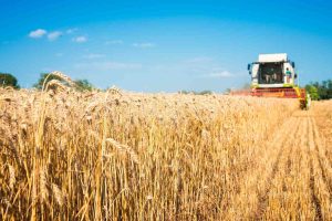 combine harvester