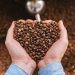 produksi kopi lebih efisien